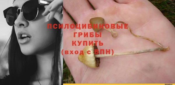 соль ск Алексин