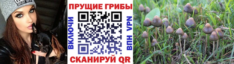 Галлюциногенные грибы мухоморы  Сухиничи 